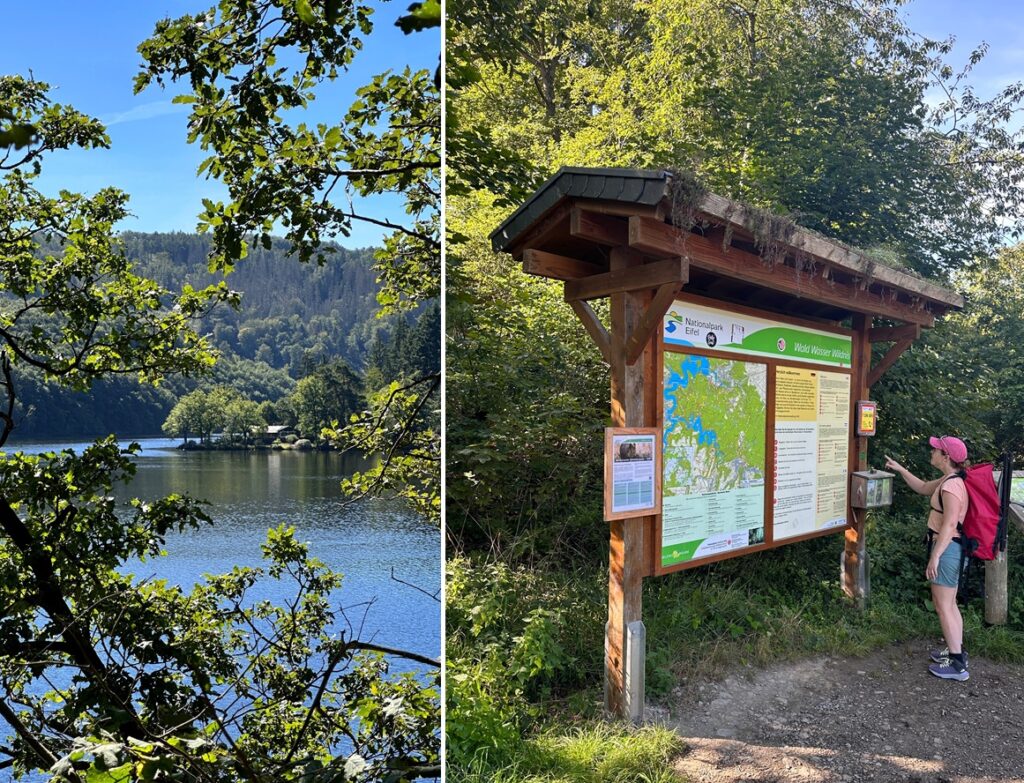 Caminhante a ler o mapa de trilhos à entrada do Parque Nacional de Eifel, Alemanha