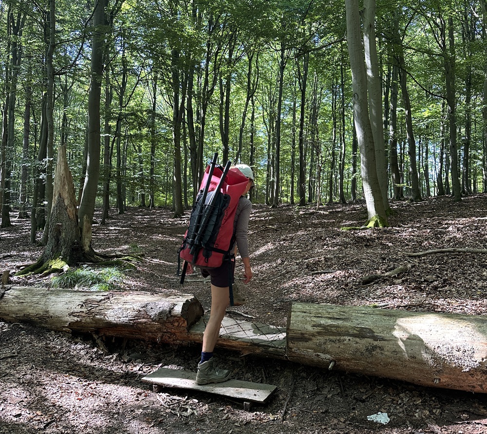 Caminhante a carregar uma mochila de packraft pela floresta no Eifel