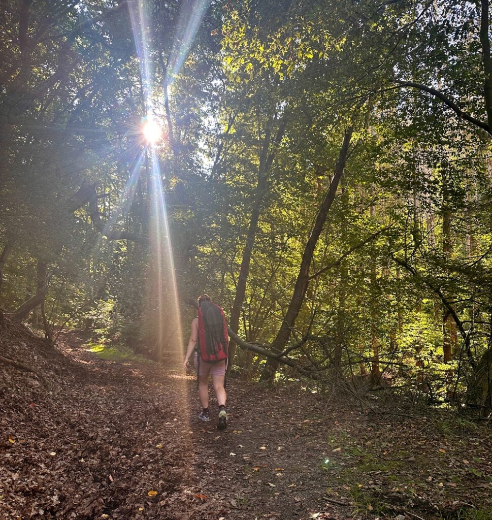 Trilho pedestre pela floresta durante uma aventura de packrafting na Alemanha